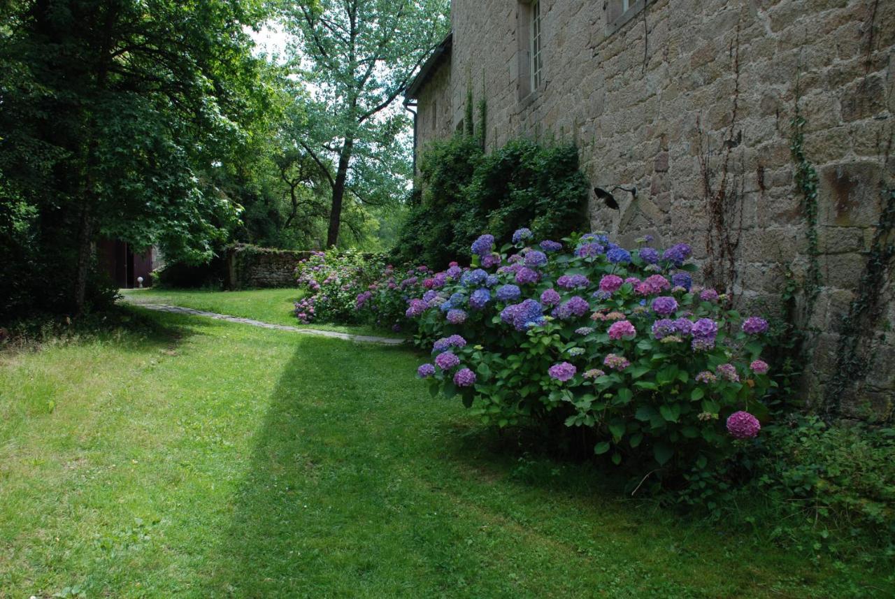 B&B Chateau Le Bois Saint-Julien-aux-Bois Exterior foto